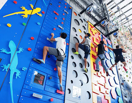 Climbing Wall